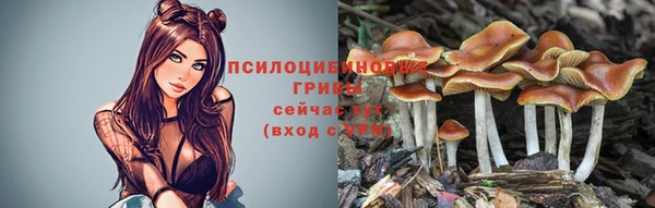 соль ск Алексин