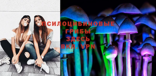 винт Алексеевка